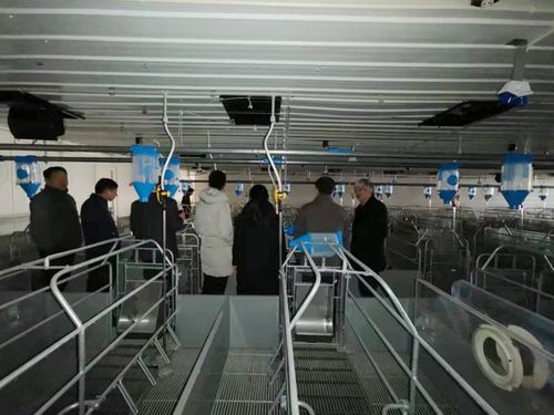 山東漢世偉2019年飼料代工廠年度總結(jié)會圓滿召開